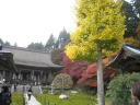 京都大原勝林院
